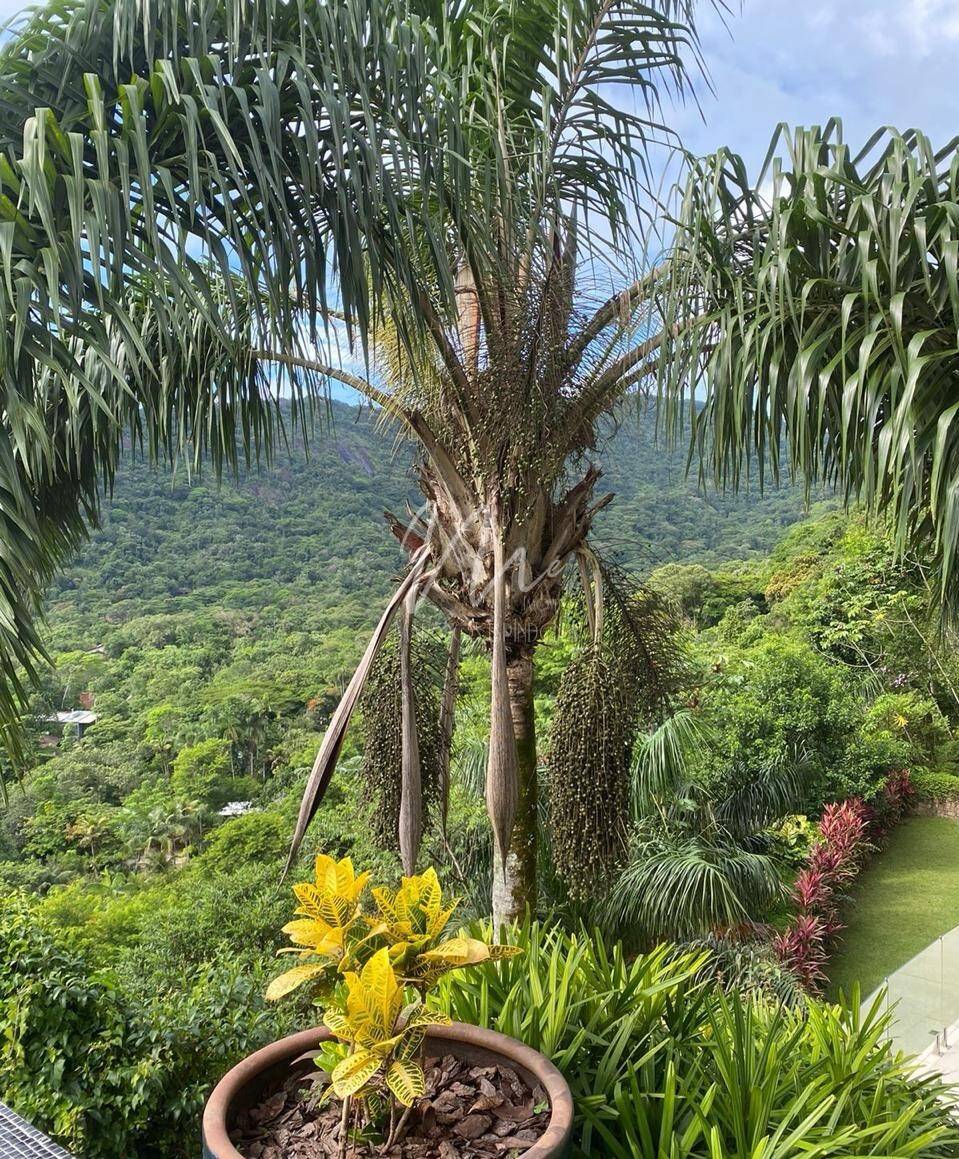 Casa de Condomínio, 4 quartos - Foto 36