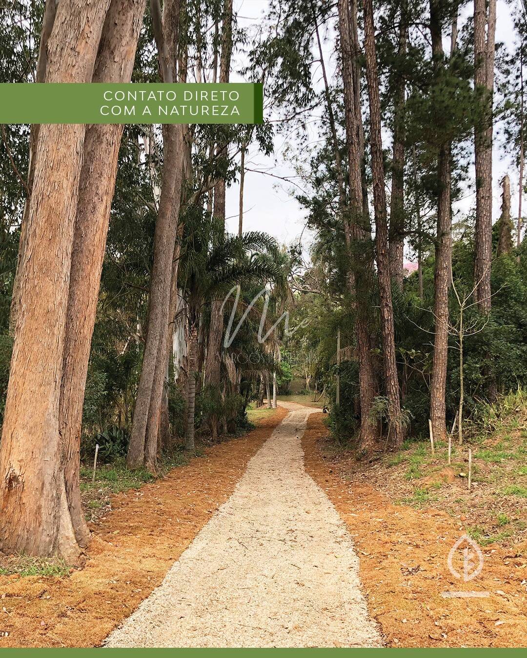 Terreno, 600 m² - Foto 13