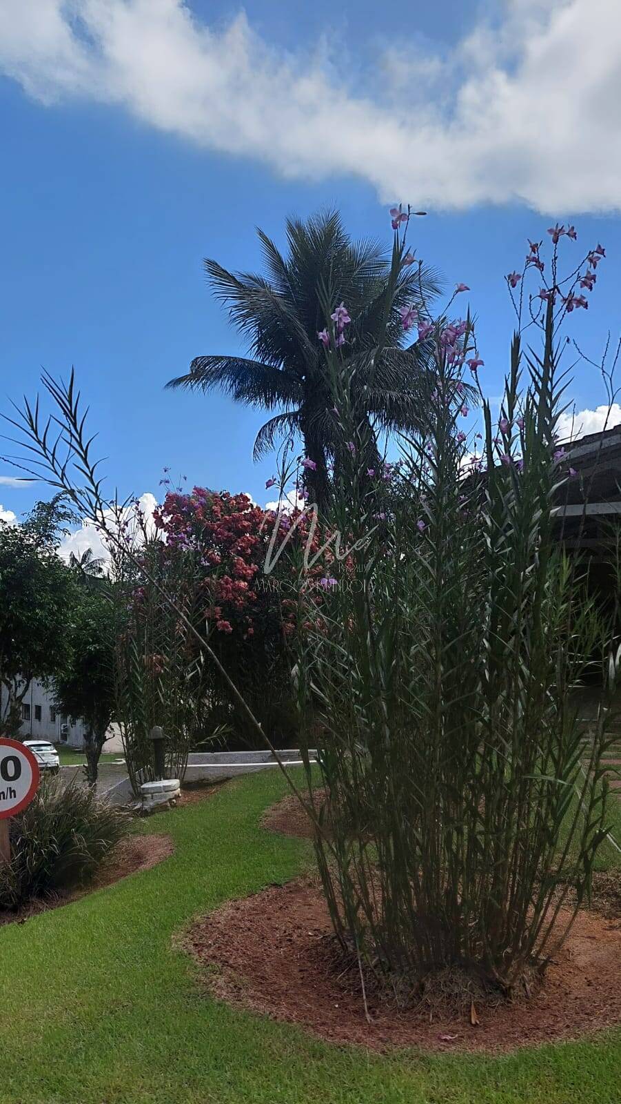 Apartamento, 1 quarto, 65 m² - Foto 8