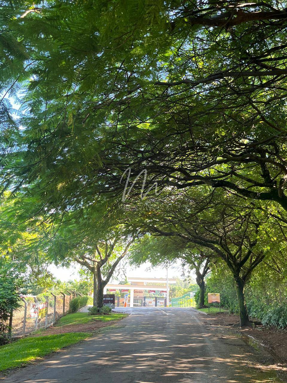Terreno, 1000 m² - Foto 6