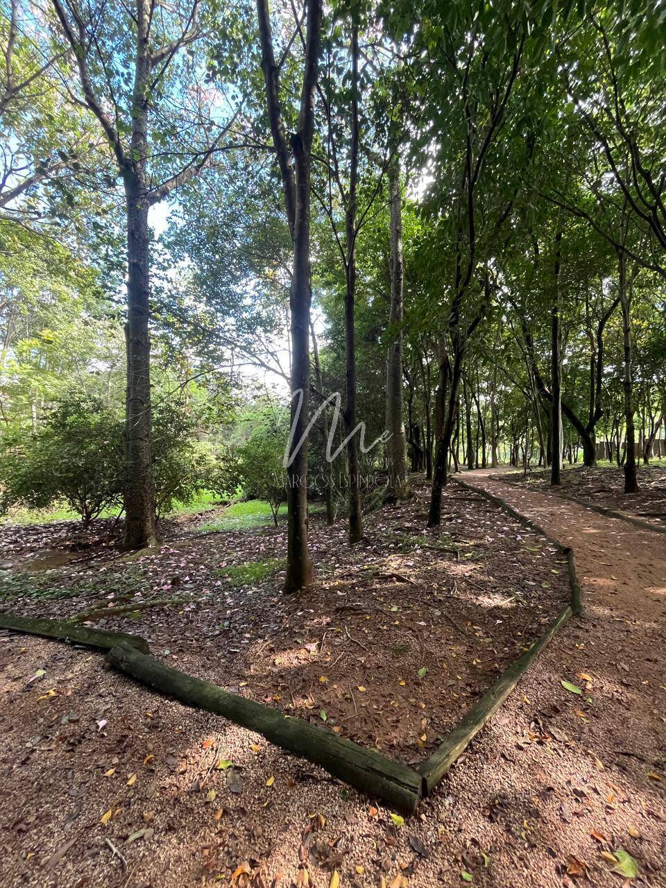 Terreno, 1000 m² - Foto 14